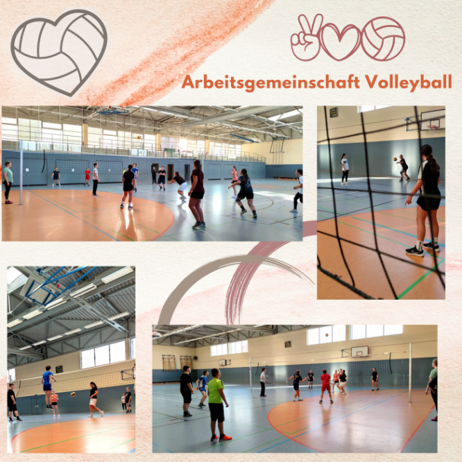 volleyball_ag.png